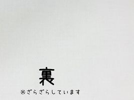 【10m以上のみ巻き発送】おねうちカバン芯_拡大イメージ