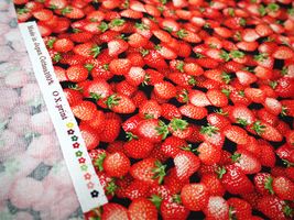 復刻オックスプリント 「イチゴがいっぱいの布」黒地