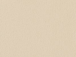 おねうちアムンゼン無地ベージュ