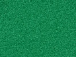 おねうちアムンゼン無地緑