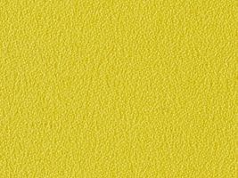 おねうちアムンゼン無地黄