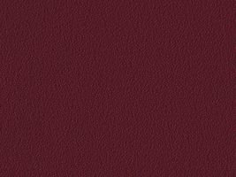 おねうちアムンゼン無地ワイン