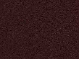 おねうちアムンゼン無地コゲ茶