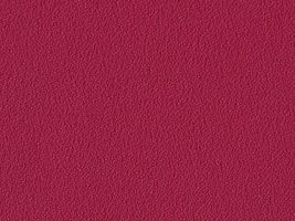 おねうちアムンゼン無地エンジ