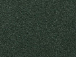 おねうちアムンゼン無地濃い緑