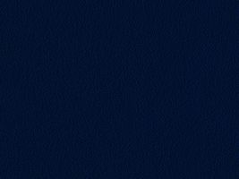 おねうちアムンゼン無地濃い紺