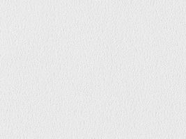 おねうちアムンゼン無地白