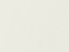 おねうちアムンゼン無地オフ白