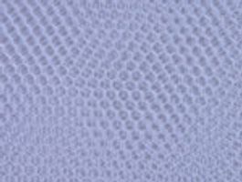 50デニール ハードチュールオフ白