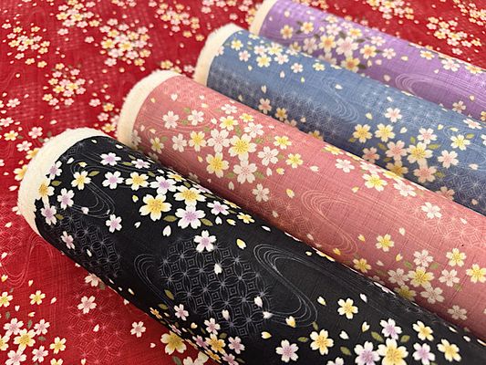 サザンクロスプリント「水面に桜」