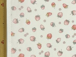 小さないちごのオックスプリントアイボリー