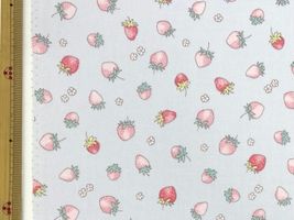 小さないちごのオックスプリントラベンダー