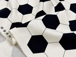 お気に入りシリーズ2027 サッカー_拡大イメージ