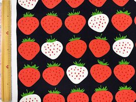 北欧調オックスプリント「Mansikat rivissä」_拡大イメージ