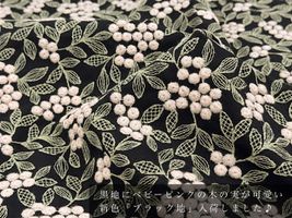 Exclusive Collection 特別な木の実刺しゅうのコットンローンレース_拡大イメージ