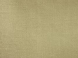 カラー ブロード無地ベージュ