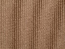 ■お取り寄せ商品■太コーデュロイベージュ