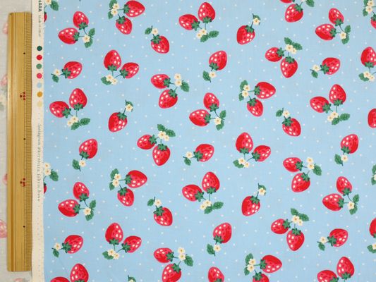 【現品限り特価】お気に入りシリーズ2022 いちごドット