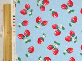 【現品限り特価】お気に入りシリーズ2022 いちごドットブルー