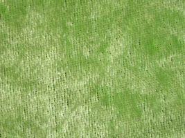 クラッシュベロア黄緑