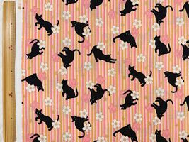 「百華繚蘭」桜と黒猫とストライプピンク