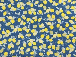 北欧調オックスプリントnina「シトロン」_拡大イメージ