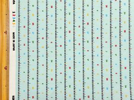 メジャー模様のオックスプリントミント