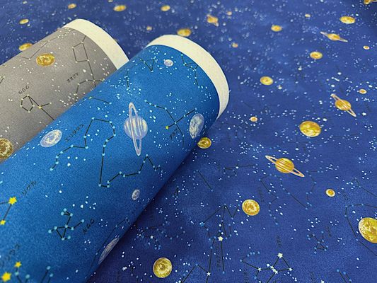 【現品限り特価】「ナニコレ?シリーズ」CONSTELLATION