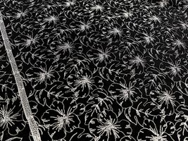 【現品限り特価】Exclusive Collection コットンローンレース 「Full bloom」_拡大イメージ