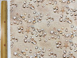 【2026中身が見える福袋】大塚屋ネットショップ福袋「USAコットン -RANDOM-」_拡大イメージ