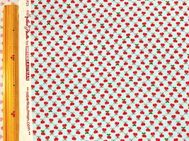 【2026中身が見える福袋】大塚屋ネットショップ福袋「USAコットン -RANDOM-」_拡大イメージ