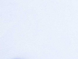 ロングセラーの チノクロス無地白