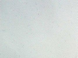 ロングセラーの チノクロス無地オフホワイト