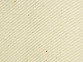 ロングセラーの チノクロス無地生成(綿かす残し)