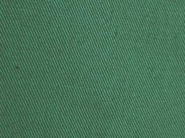 ロングセラーの チノクロス無地エバーグリーン