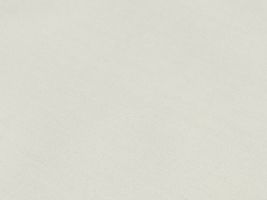 ＴＣブロード無地オフ白