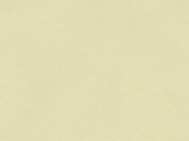 ＴＣブロード無地アイボリー