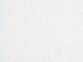 カラー ブロード無地オフホワイト