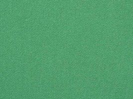 エステルポプリン無地緑