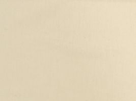 カラー ブロード無地生成(綿かす残し)