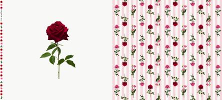 『mingswim(ミンスイ)』一輪のバラホワイト地