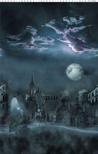 ■完売しました■『mingswim(ミンスイ)』月夜に建つお城ネイビーブラック系