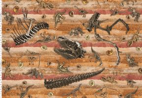 『mingswim(ミンスイ)』恐竜化石発掘ブラウン系