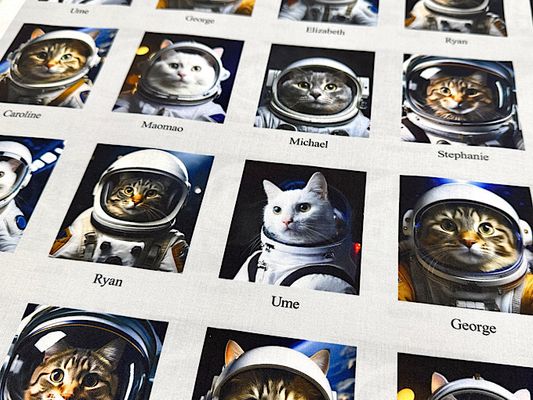 『nora.』宇宙猫のシーチングプリント