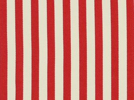 ６ミリの ツイル ストライププリントレッド