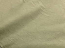 Exclusive Collection 天日干しコットンビンテージツイルライトカーキ