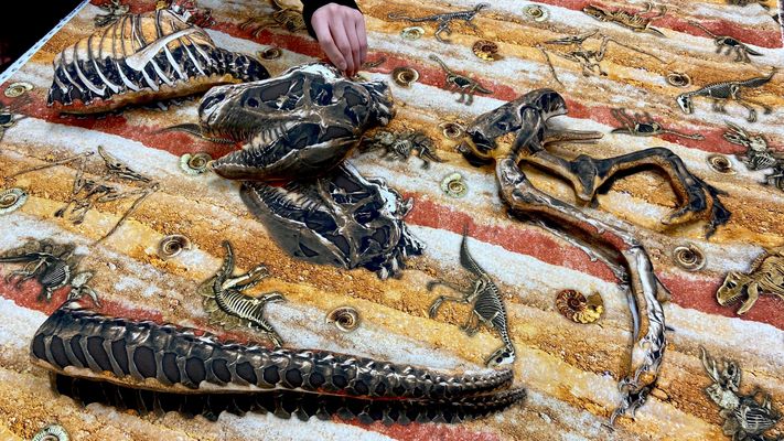 『mingswim(ミンスイ)』恐竜化石発掘