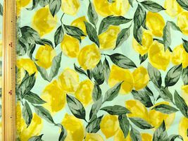 ナイロンオックスプリント「Lemon」_拡大イメージ