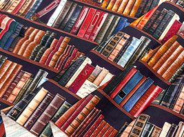 『mingswim(ミンスイ)』秘密の書斎_拡大イメージ