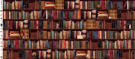 『mingswim(ミンスイ)』秘密の書斎_拡大イメージ